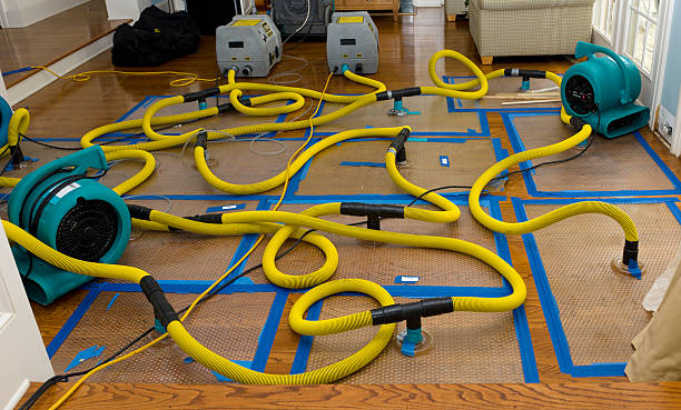 Professional Water Extraction technician working in Warren, MI